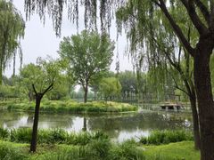 -东郊湿地公园