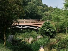 -云溪植物园