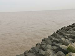 -南汇嘴观海公园