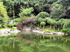 -龙头寺公园