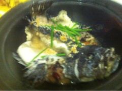 iphone_upload_pic-ZF Seafood Restaurant 卓峰海鲜餐
