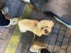 -创凡宠物医院·骨专科  猫科中心(西乡分院)