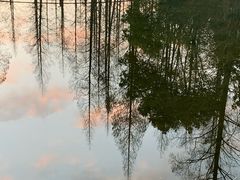 -东平国家森林公园