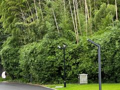 -苏州河梦清园环保主题公园