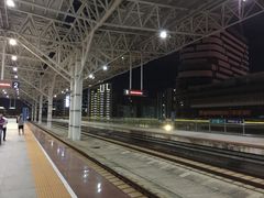 -海口东站