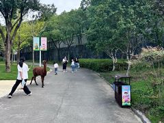 -达蓬山星梦乐园