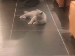 -吱咖啡西式简餐