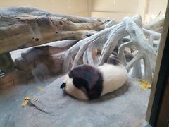 -宁波野生动物园