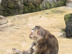 -海南热带野生动植物园