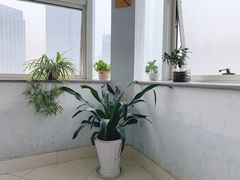 -杭州市第三人民医院