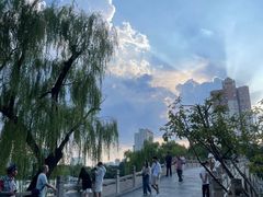 -迎泽公园