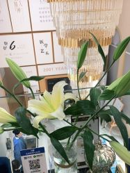 -熙朵美学植发连锁