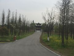 -梁鸿国家湿地公园