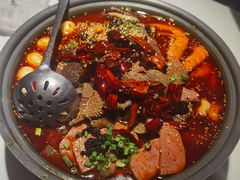 传统地道毛血旺3.0-眉州东坡(龙湖店)