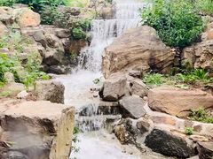 -北京西山国家森林公园