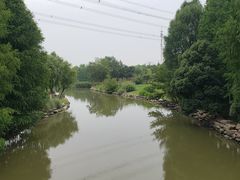 -九里河湿地公园