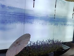 -上足·影院足道·SPA(红岭店)