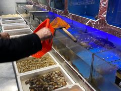-长平肥姐白粥·海鲜打冷