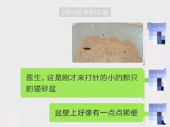 -小呆的宠物店·宠物售卖·宠物寄养(城西店)