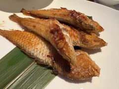 -小南洋海景餐厅(深圳湾店)