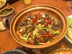 思茅小炒乌鸡-老滇山寨•云南特色菜•地方菜•民族风情歌舞表演(金碧店)