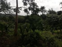 -七仙岭温泉国家森林公园