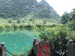 -靖西鹅泉风景区