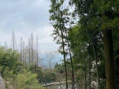 -莫干山风景区