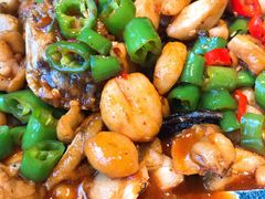 -凤凰湘语·湘粤鲜融(浦东旗舰店)