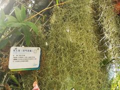 -海南热带野生动植物园