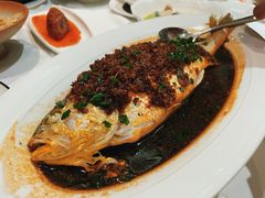 花雕大黄鱼-南麓·浙里(外滩店)