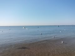 -老虎石海上公园