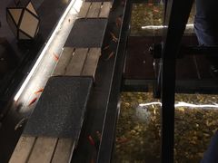 -颐和•海鲜砂锅粥•啫啫煲(奥林匹克广场店)