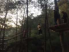 -梦幻奥陶纪景区