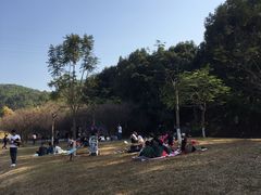 -中山市树木园