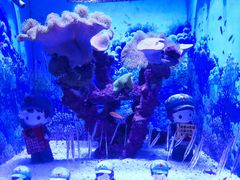 -烟台海昌鲸鲨海洋公园