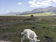 -新疆那拉提国家旅游度假区