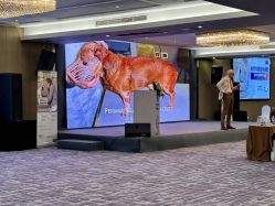 -友豪锦江酒店·宴会厅