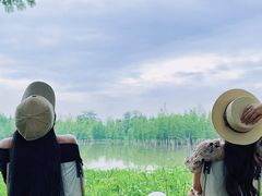 -白鹭湾湿地公园