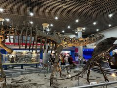 -国家自然博物馆