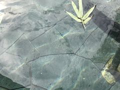 -威海天沐度假区温泉