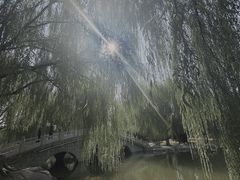 -阿尔丁植物园