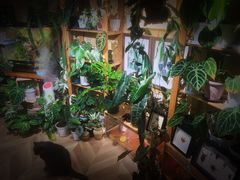 -Rabbit Cafe私房西餐甜点咖啡(栖霞路店)