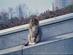 -UNI UNI(环亚凯瑟琳店)