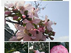 -华南国家植物园-售票处