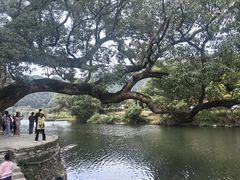 -上坦村