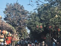 -会安古镇