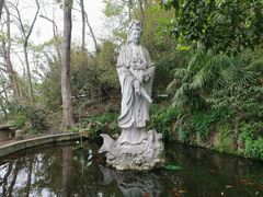 景点-紫金山山顶公园