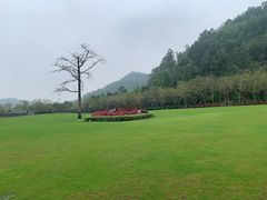 -顺峰山公园
