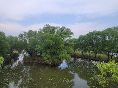 -北京麋鹿生态实验中心